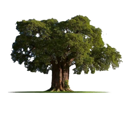 Democratic Front Gives Party Flag Bearers Vote Protection Training