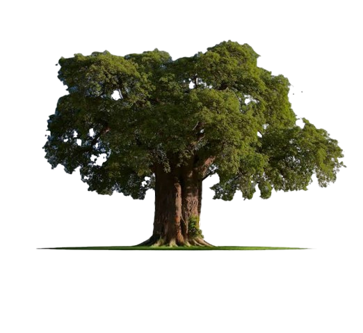 DF Calls On Ugandans To Prioritize Competence Over Populism In Upcoming Elections